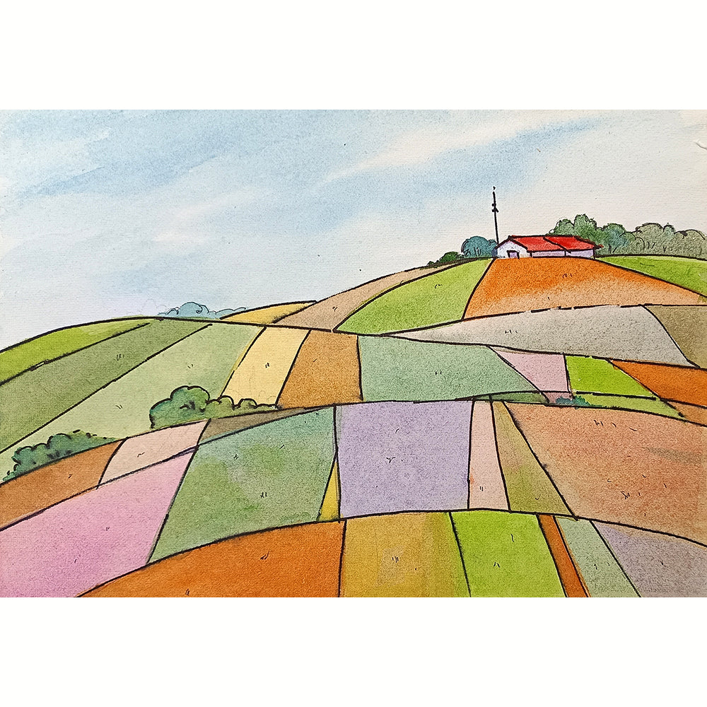 Fields of Color