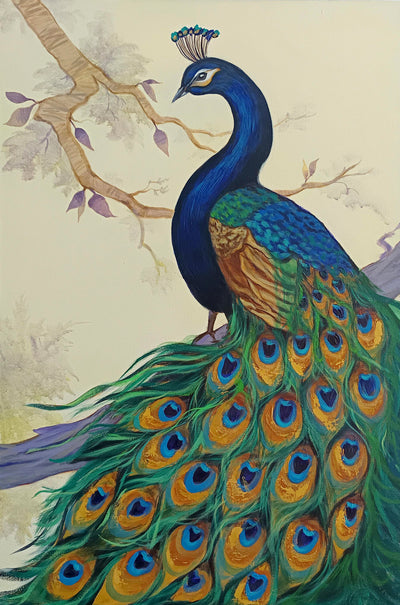 Animals & Birds