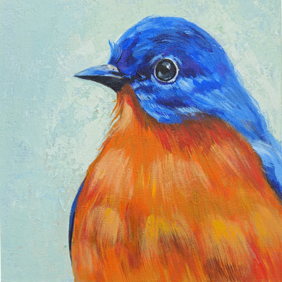 Animal & Birds