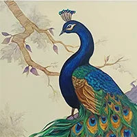 Animals & Birds