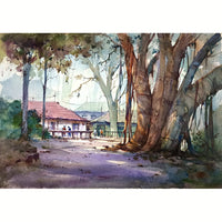 Stills of the Branches - Image 1