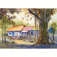 Shining in the Shade - Image 1